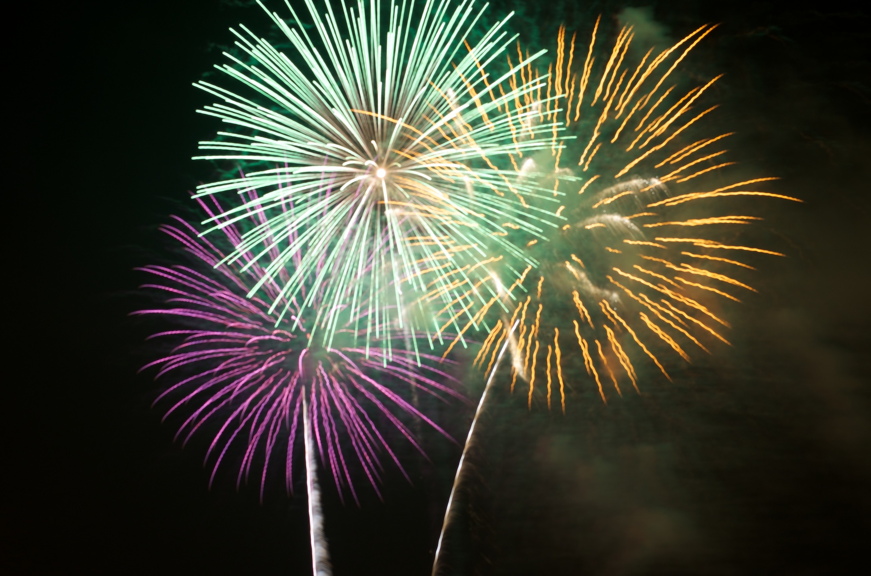 New_Year New Year